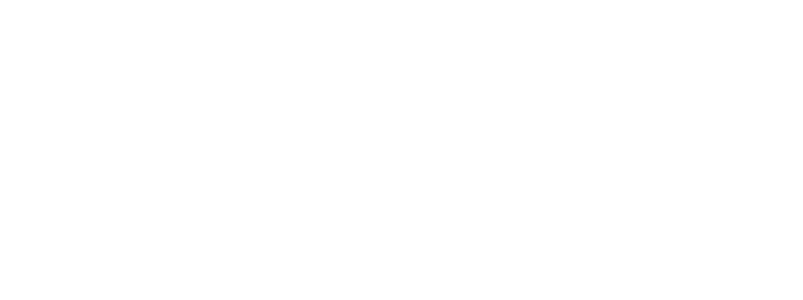 logo DD white