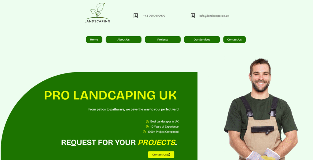 Web developer in London